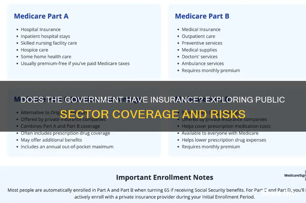 does government have insurance