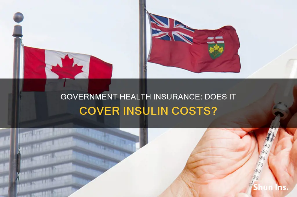 does government health insurance cover insulin
