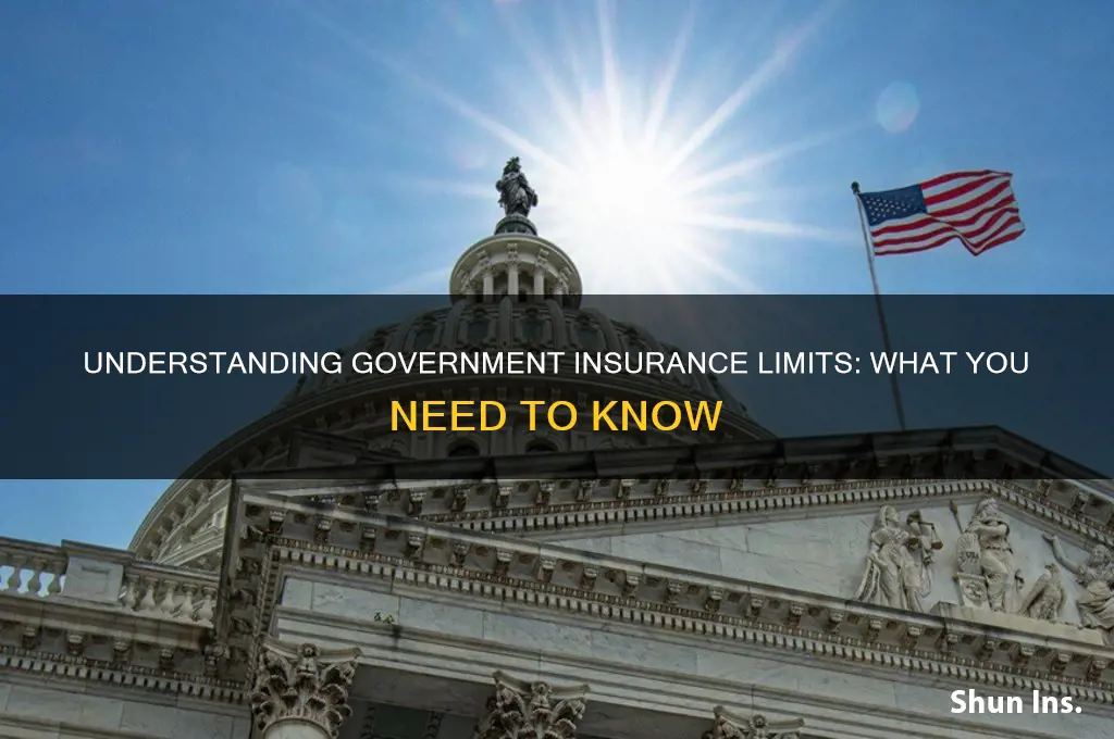 does government insurance have a limit
