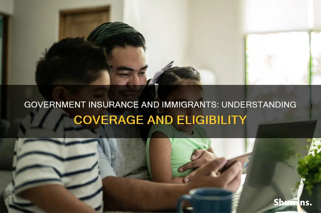 does government insurance support immigrants