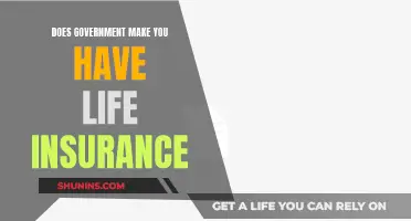 Life Insurance: Government's Role and Your Options