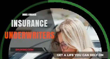 Does Grange Insurance Underwriters Offer the Right Coverage for You?
