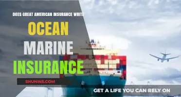 Does Great American Insurance Offer Ocean Marine Coverage? Find Out Here