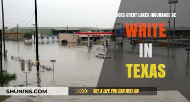 Does Great Lakes Insurance SE Operate in Texas? A Detailed Analysis