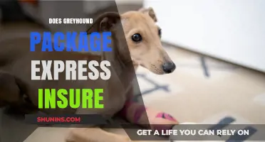 Does Greyhound Package Express Offer Insurance Coverage for Shipments?