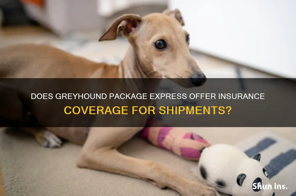 does greyhound package express insure