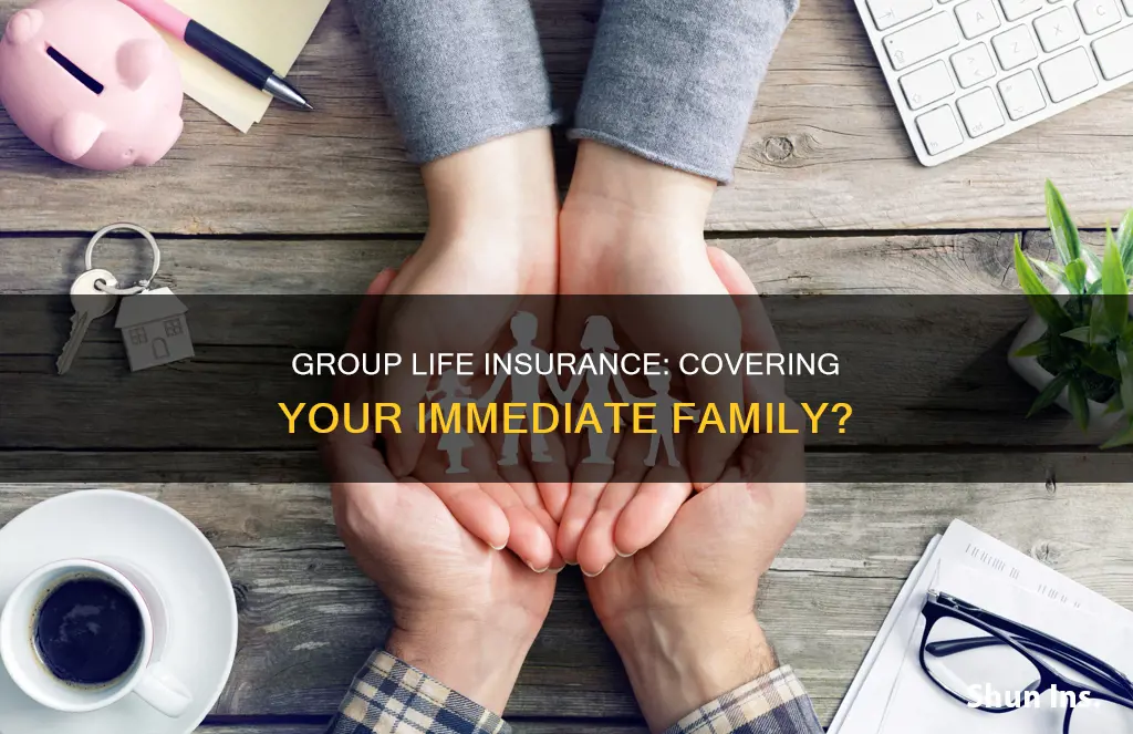 does group life insurance cover immediate family