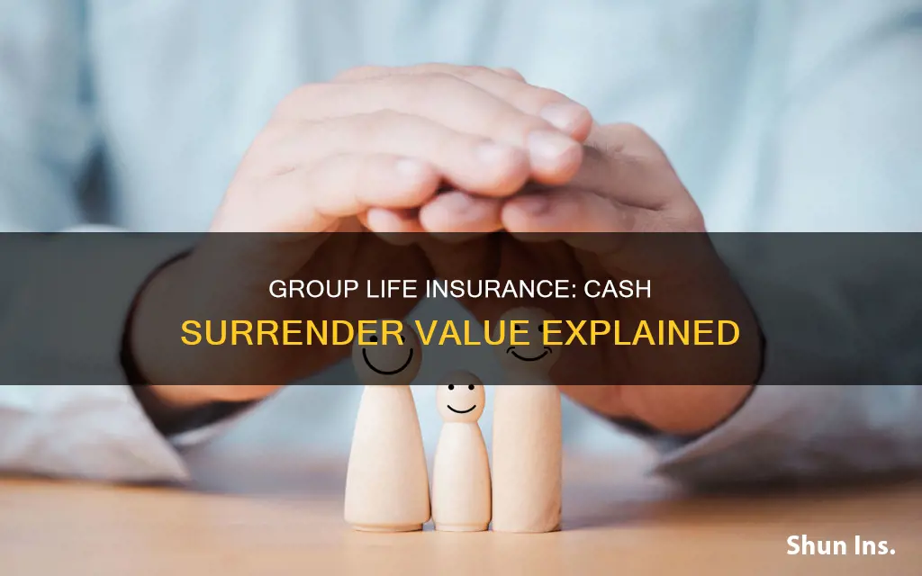 does group life insurance have a cash surrender value