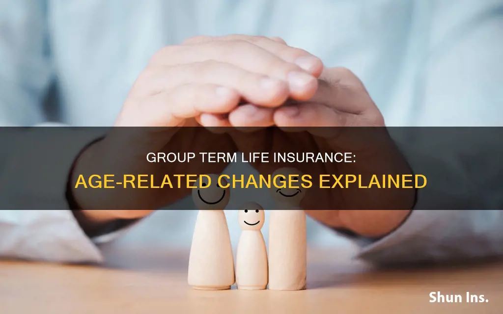 does group term life insurance change with age