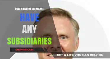 Exploring GuideOne Insurance: Subsidiary Companies and Business Structure