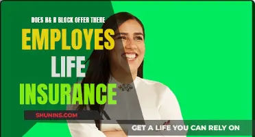 H&R Block: Life Insurance for Employees?