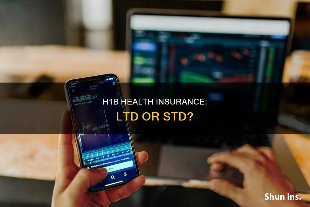 does h1b holders go for ltd or std insurance