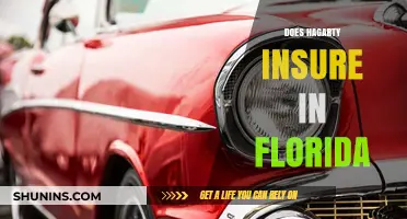 Hagerty Insurance: Florida Coverage Options and Benefits
