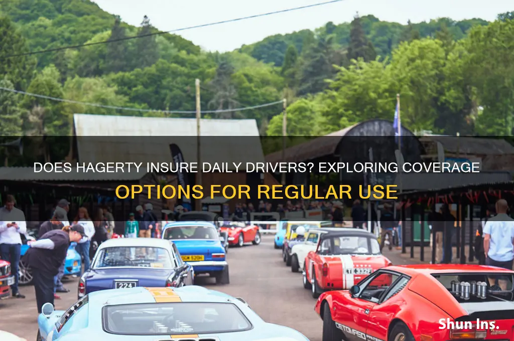 does hagerty insure daily drivers