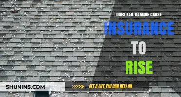 Hail Damage Impact: Will Your Insurance Premiums Increase?
