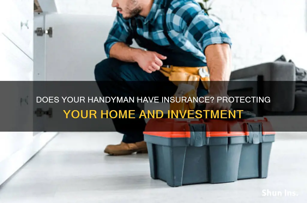 does handyman have insurance
