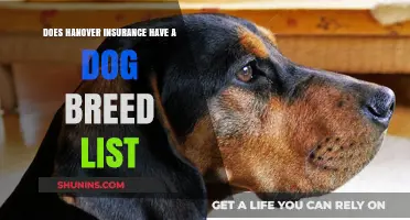 Does Hanover Insurance Exclude Certain Dog Breeds? Find Out Here