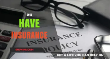 Understanding the Importance of Having Insurance: A Comprehensive Guide