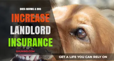 Does Owning a Dog Impact Your Landlord Insurance Premiums?