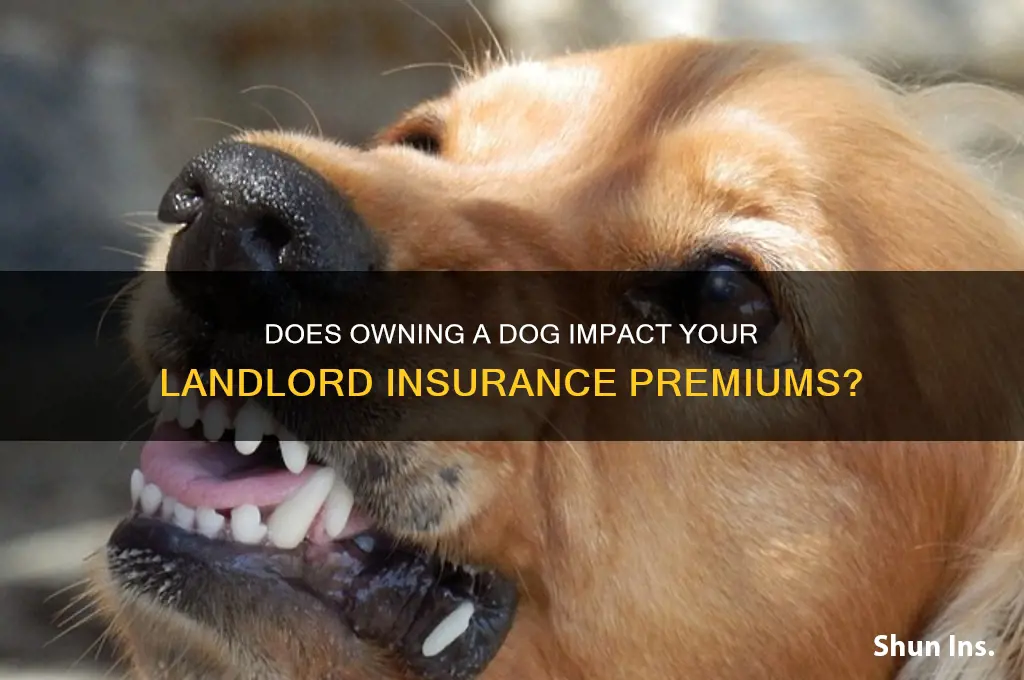 does having a dog increase landlord insurance