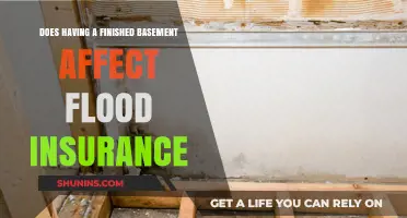 Basement Flooding: Does Finishing Increase Insurance Costs?
