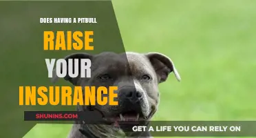 Pitbull Ownership and Homeowners Insurance: What You Need to Know