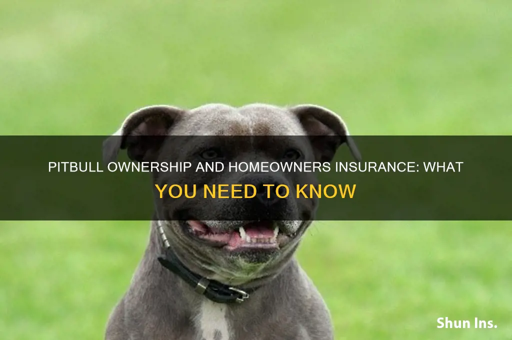 does having a pitbull raise your insurance