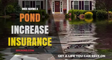 Pond Ownership and Insurance: Understanding Coverage and Potential Risks