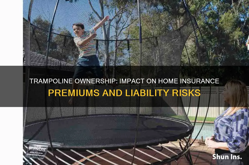 does having a trampoline increase insurance