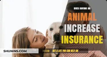 Pet Ownership and Insurance: How Animals Impact Your Coverage Costs