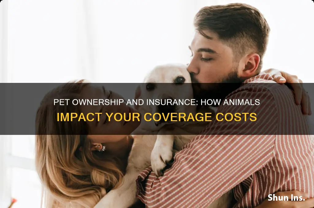 does having an animal increase insurance