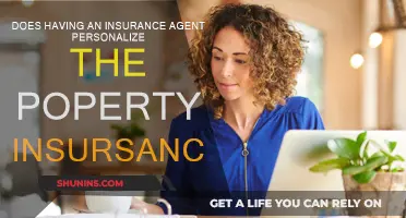 Personalized Property Insurance: The Benefits of an Agent