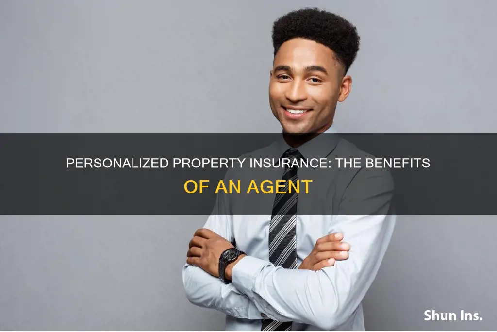 does having an insurance agent personalize the poperty insursance