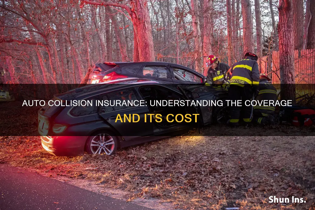 does having auto collision mean in insurance