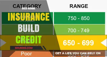 Can Insurance Impact Your Credit Score? Exploring the Surprising Connection