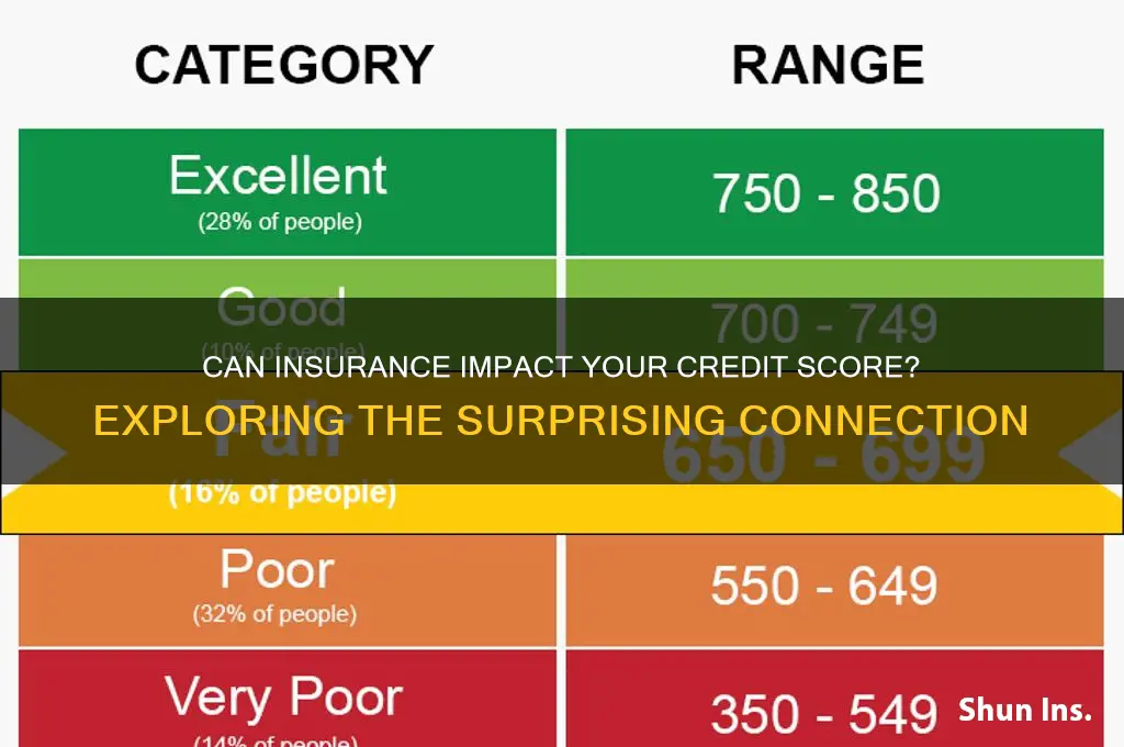 does having insurance build credit