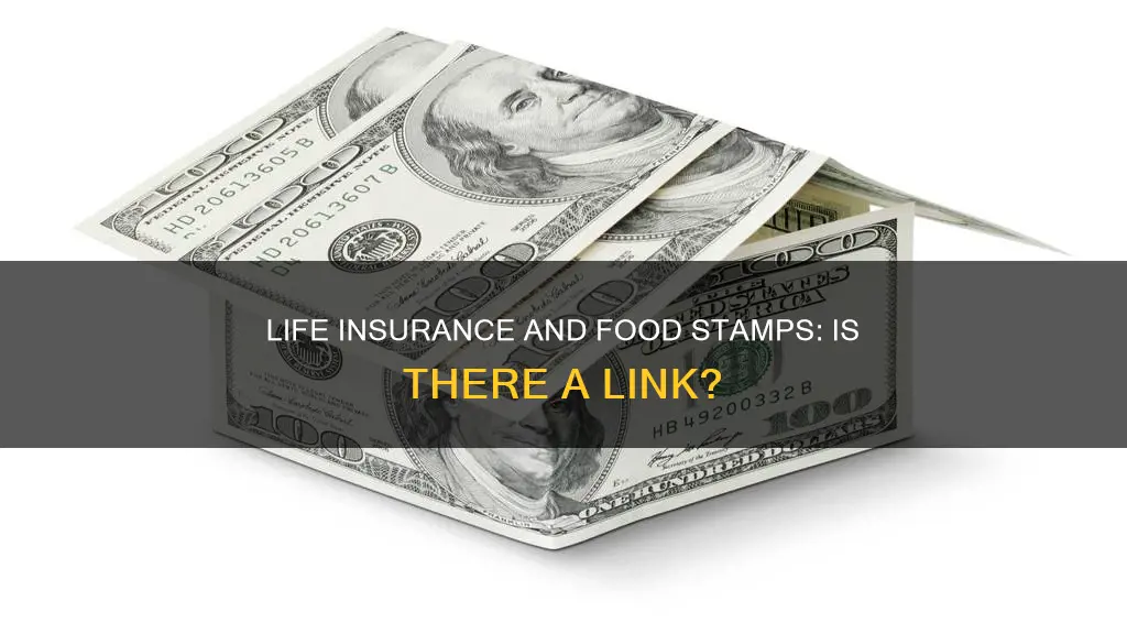 does having life insurance affect food stamps