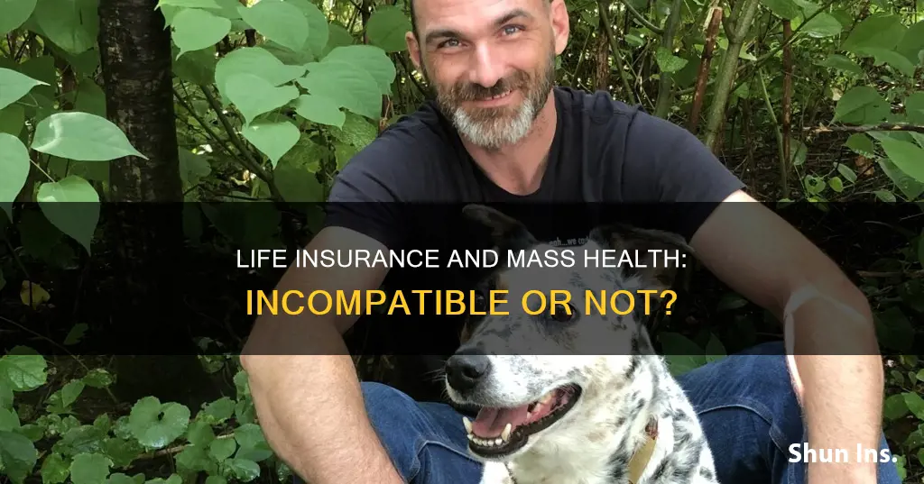 does having life insurance make you ineligible for mass health