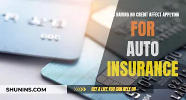 No Credit, No Problem? How Auto Insurance Companies View Applicants with No Credit History