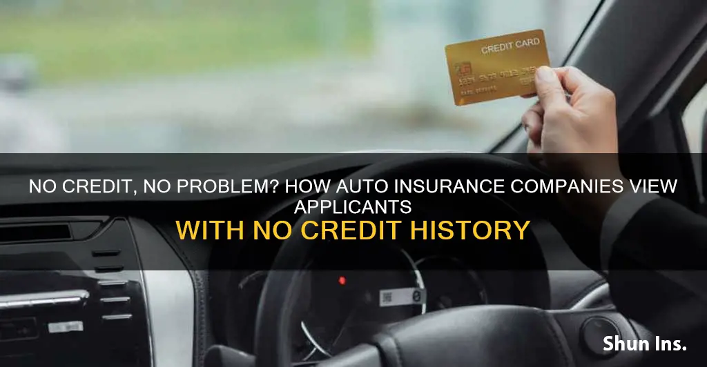 does having no credit affect applying for auto insurance