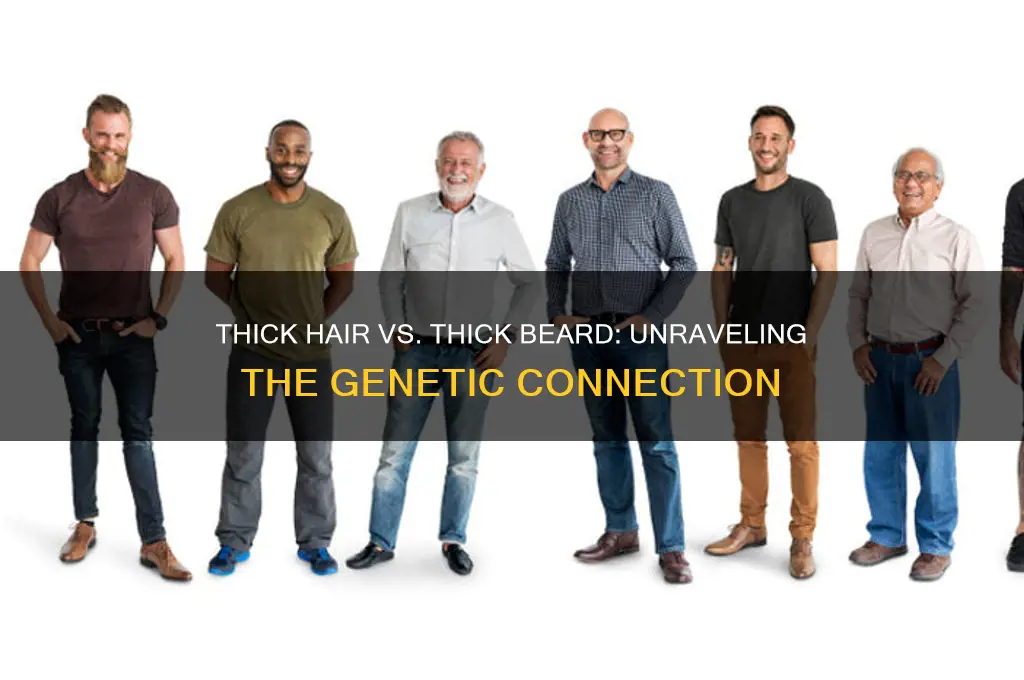does having thick hair insure having a thick beard