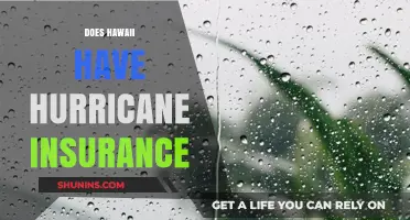Does Hawaii Offer Hurricane Insurance? What Residents Need to Know