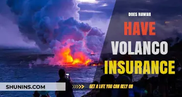 Hawaii's Volcanic Risks: Does Volcano Insurance Exist for Residents?