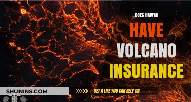 Hawaii's Volcanic Risks: Understanding Insurance Options for Residents