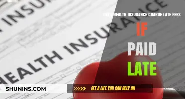 Late Health Insurance Payments: Understanding Late Fees and Penalties