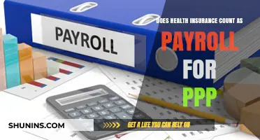 Does Health Insurance Qualify as Payroll for PPP Forgiveness?