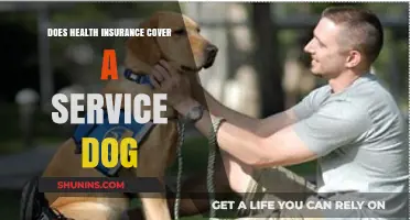 Does Health Insurance Cover Service Dogs? What You Need to Know