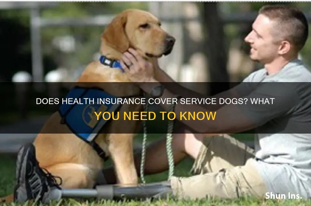 does health insurance cover a service dog