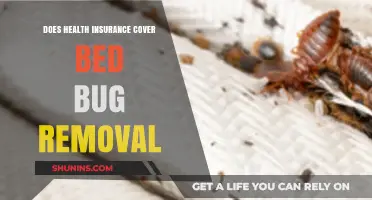 Health Insurance and Bed Bug Removal: What's Covered?