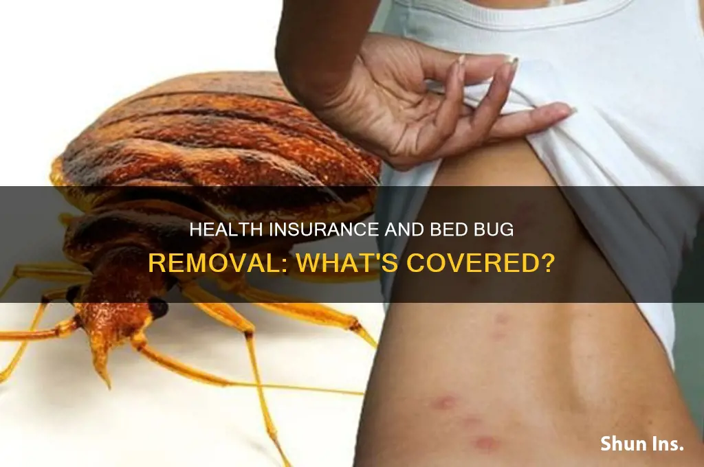 does health insurance cover bed bug removal